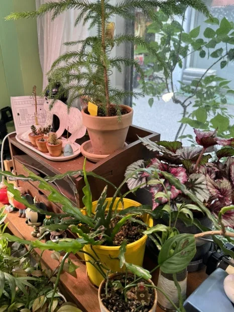 IMG_2122.jpg?type=w466