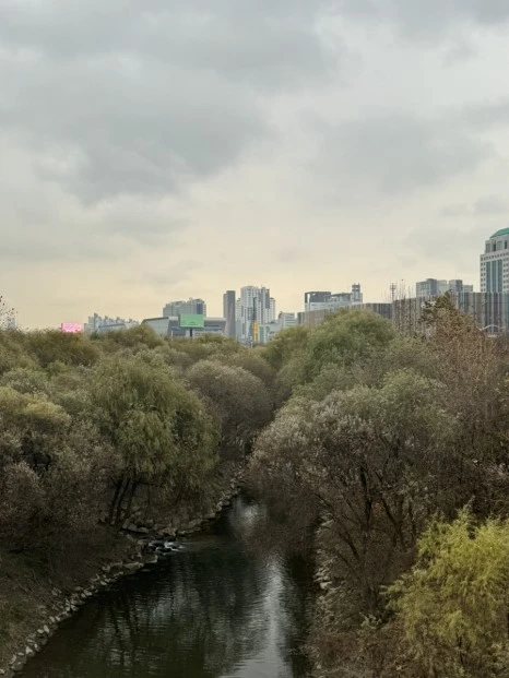 IMG_5045.jpg?type=w466