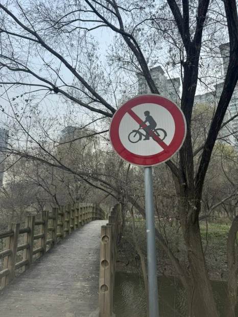 IMG_5048.jpg?type=w466