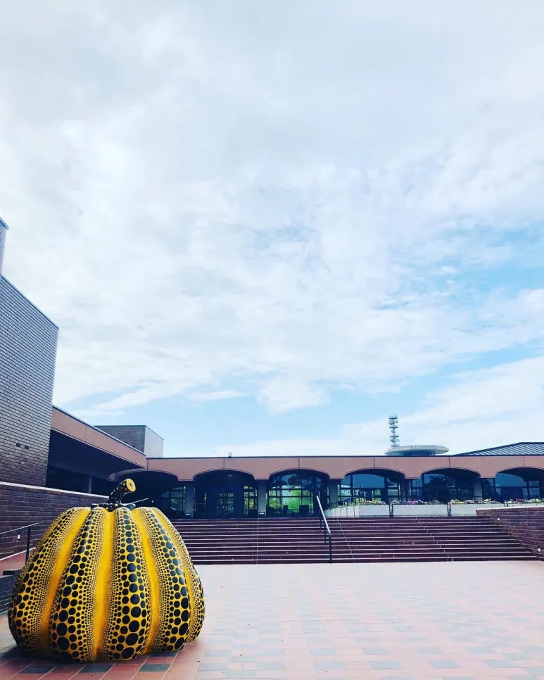 P20190417_160954028_D8FE135D-54D3-4BCC-9BF6-78120E9EE748.jpg?type=w773