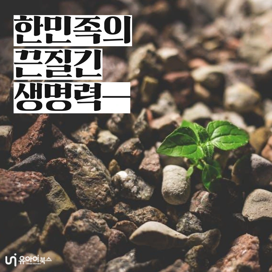 tyle-aco-1-1640044914.png?type=w1200