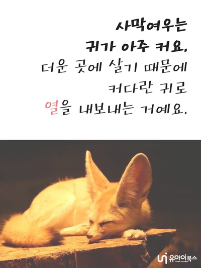 image_9907598591623746741019.png?type=w1200