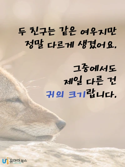 image_234383641623746736505.png?type=w1200