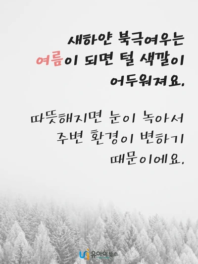 image_7119602881623746754960.png?type=w1200