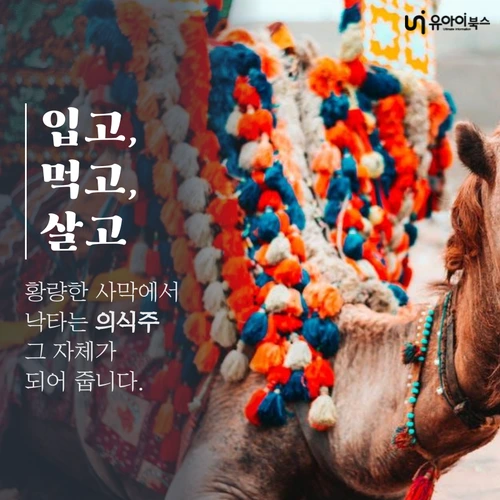 image_1850052771626844332045.png?type=w1200