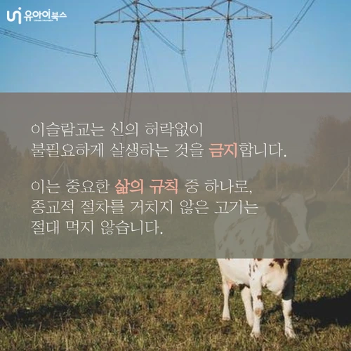 image_7246721431626937567288.png?type=w1200