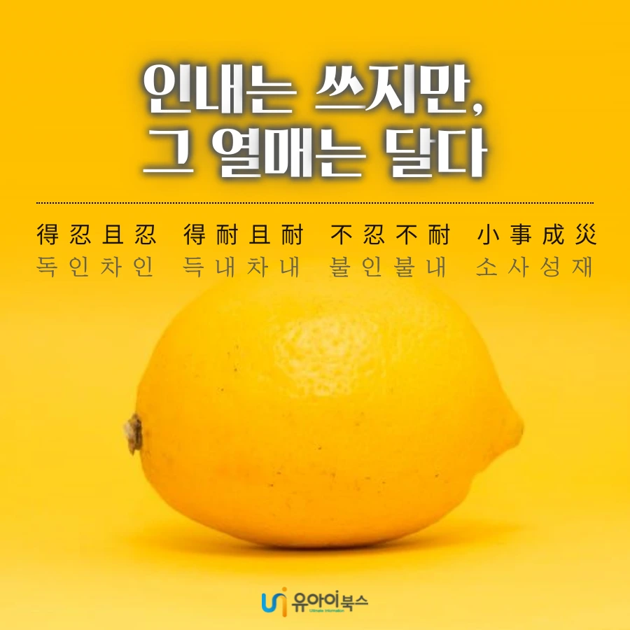 tyle-y4x-1-1629425751.png?type=w1200