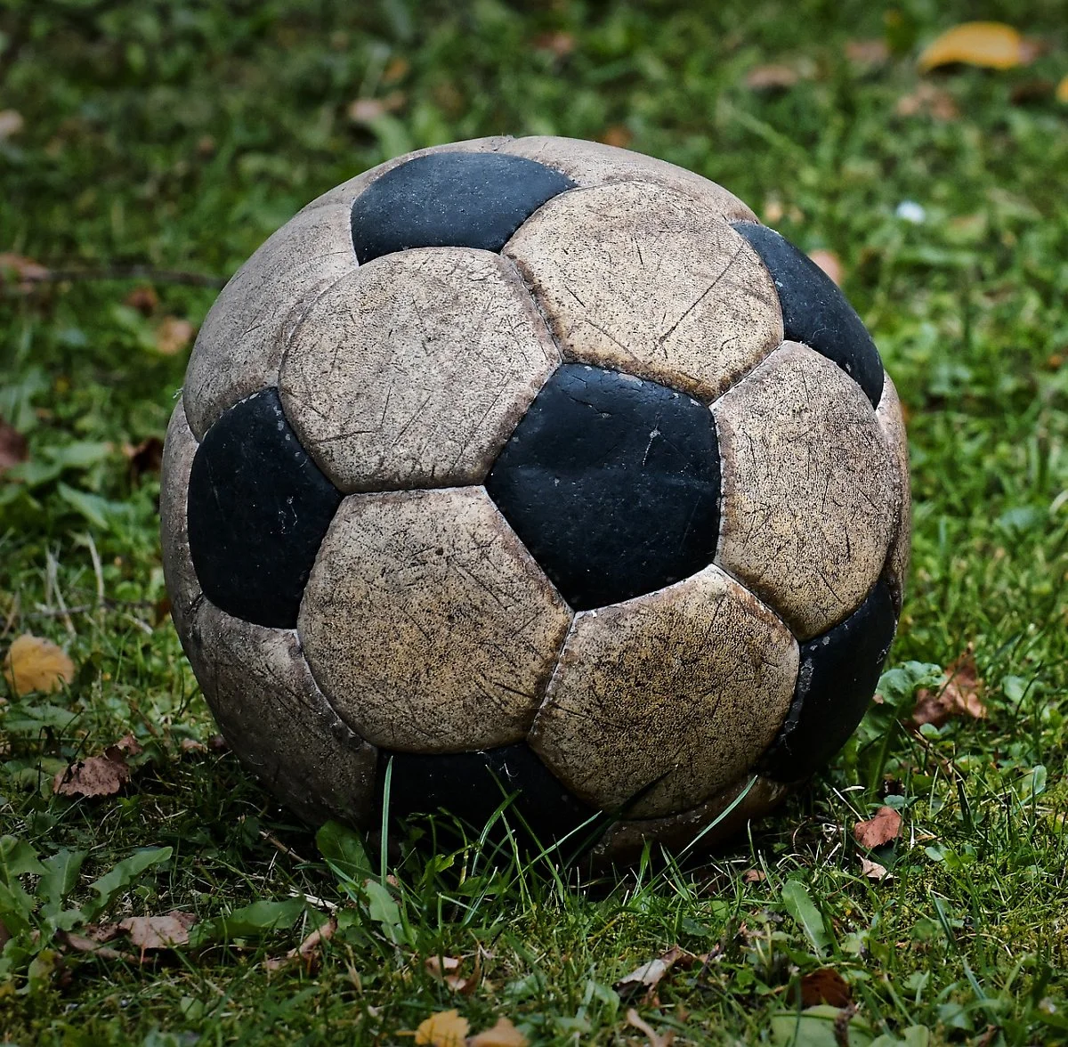 image_2608544831610431058019.jpg?type=w1200