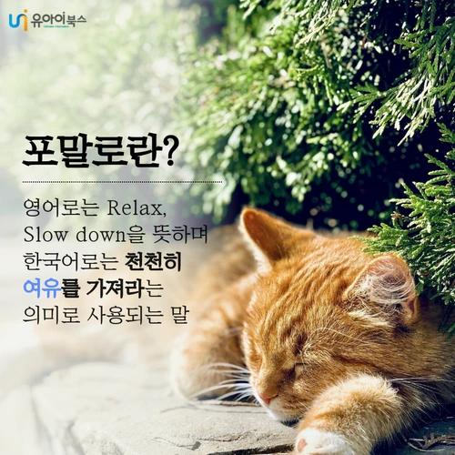 image_4391193641626239912517.png?type=w1200