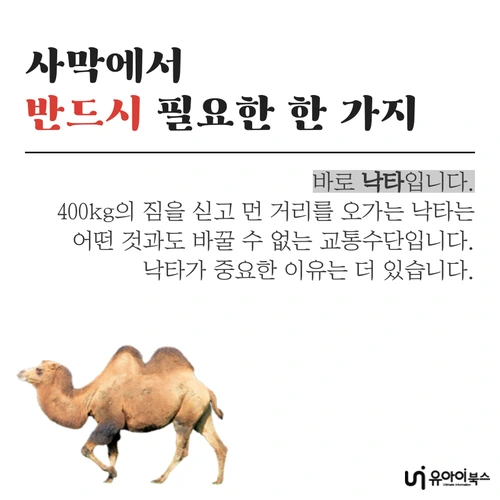 image_5825393211626844332044.png?type=w1200