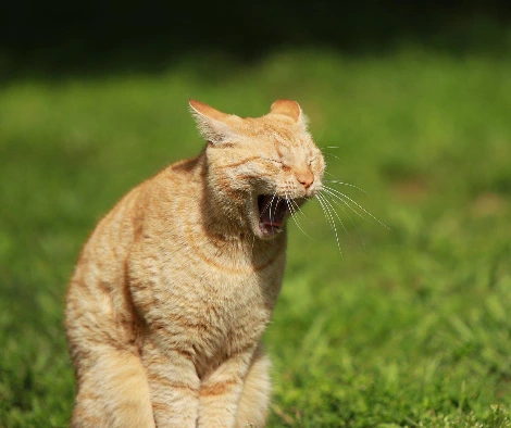 image_2626794271648705562557.jpg?type=w1200