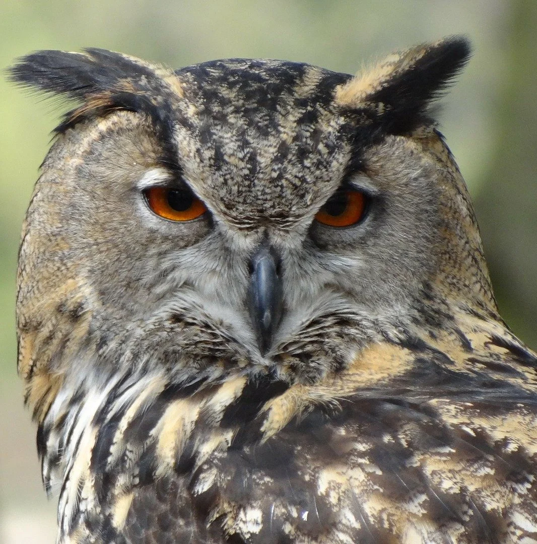 image_580464101624601049188.jpg?type=w1200