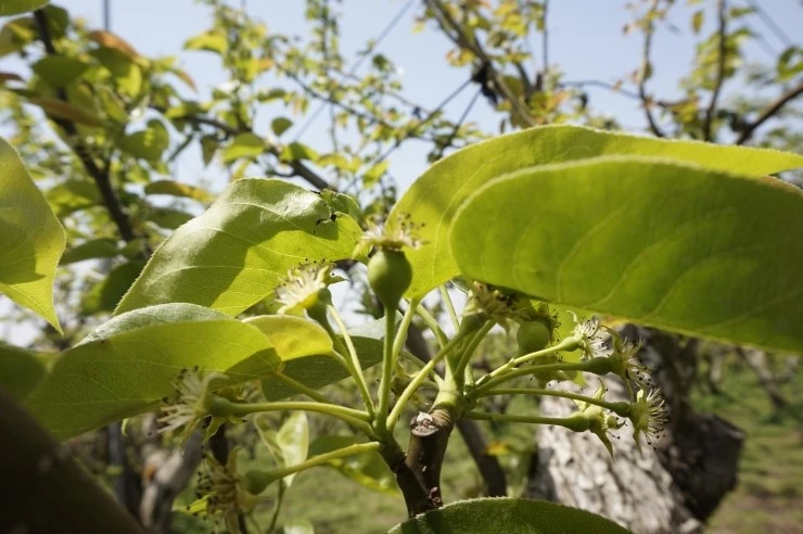 _DSC3039.JPG?type=w2