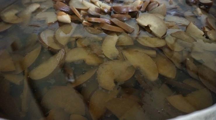 _DSC2998.JPG?type=w2