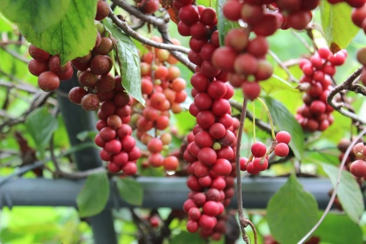 IMG_2812.JPG?type=w2