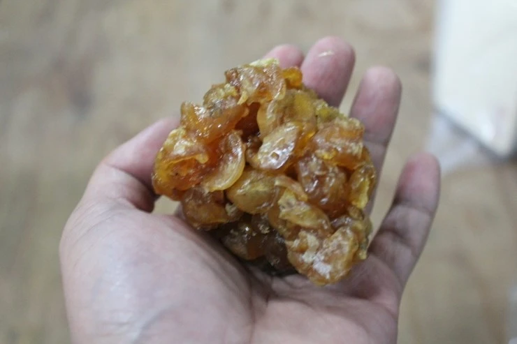 %BF%EB%BE%C8%C0%B0.jpg?type=w2