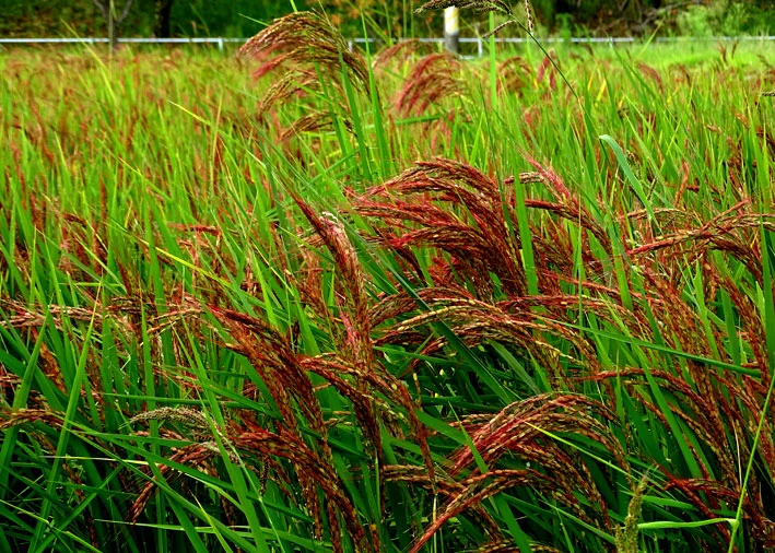 %EC%A0%81%EB%AF%B8.jpg?type=w2