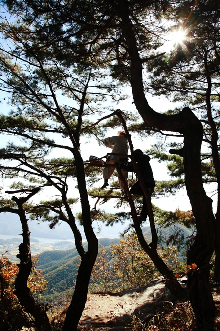 2016051102445_1.jpg?type=w2