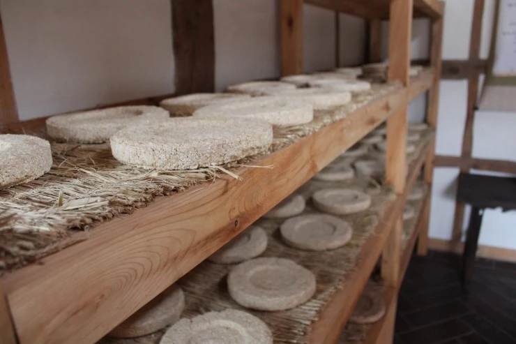 IMG_4878.jpg?type=w2