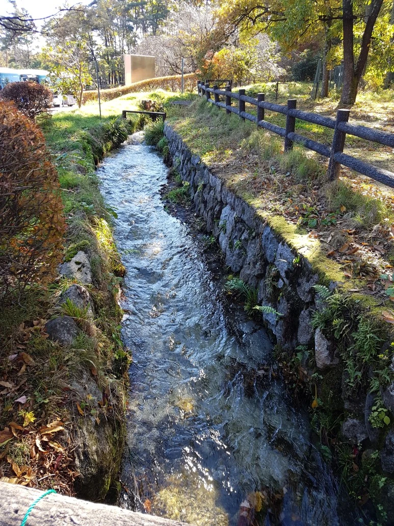 %EC%82%B0%ED%86%A0%EB%A6%AC%EC%9C%84%EC%8A%A4%ED%82%A42.jpg?type=w773