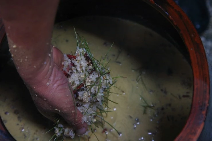 %EC%86%A1%ED%99%94%EB%B0%B1%EC%9D%BC%EC%A3%BC._%EC%9E%AC%EB%A3%8C_%EB%B0%B0%ED%95%A9.JPG?type=w2