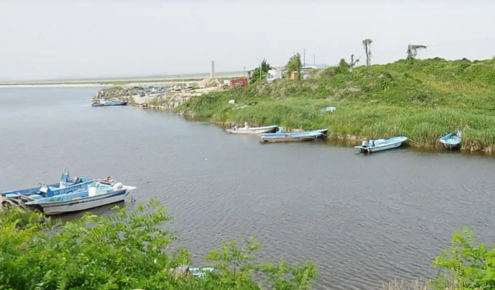 계화도 양지포구.JPG