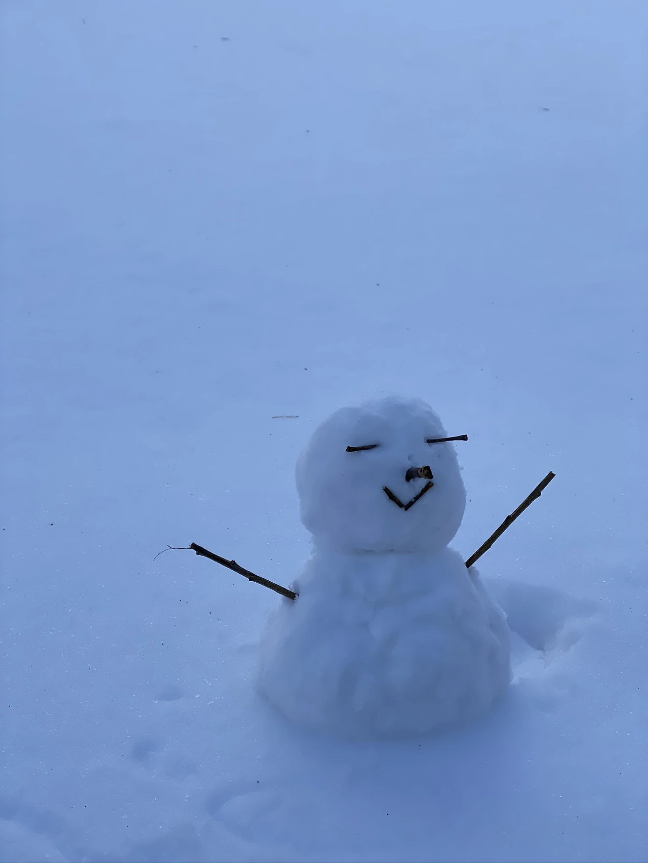 Snowman.jpeg