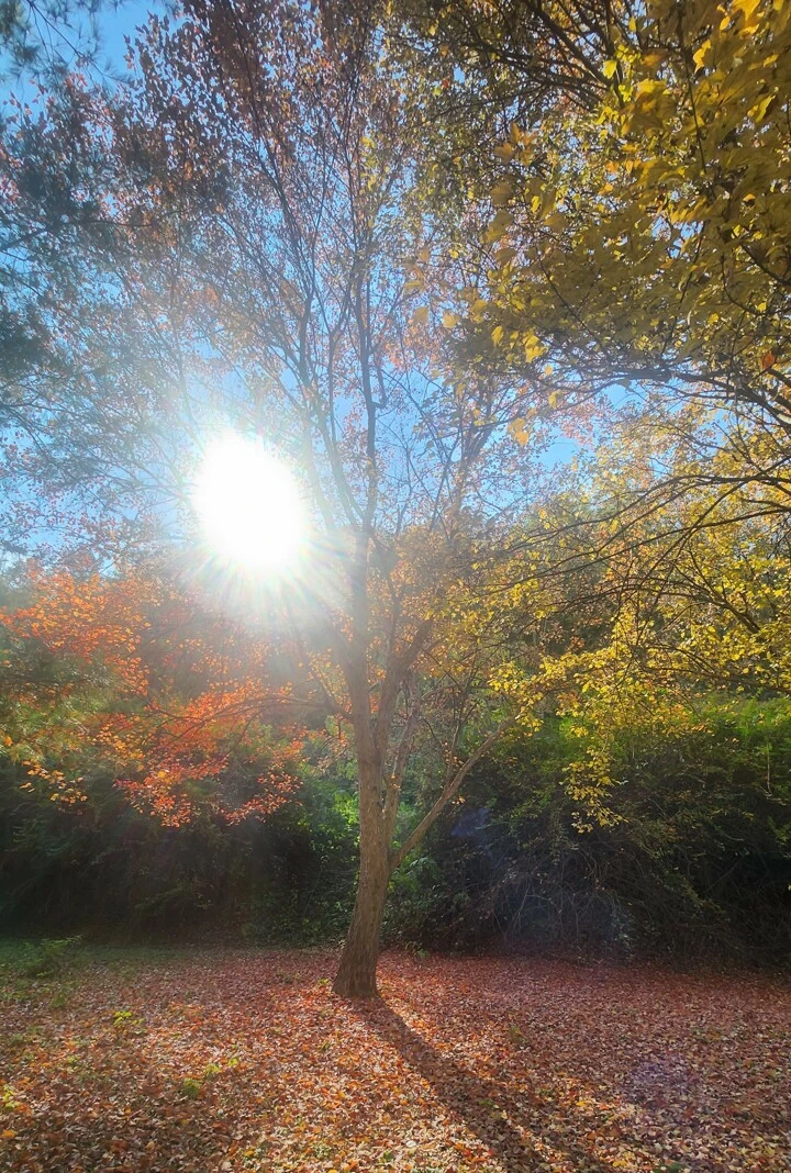 2141_1054721_1_KOR_20251014132011.jpg?AR=0&RS=720