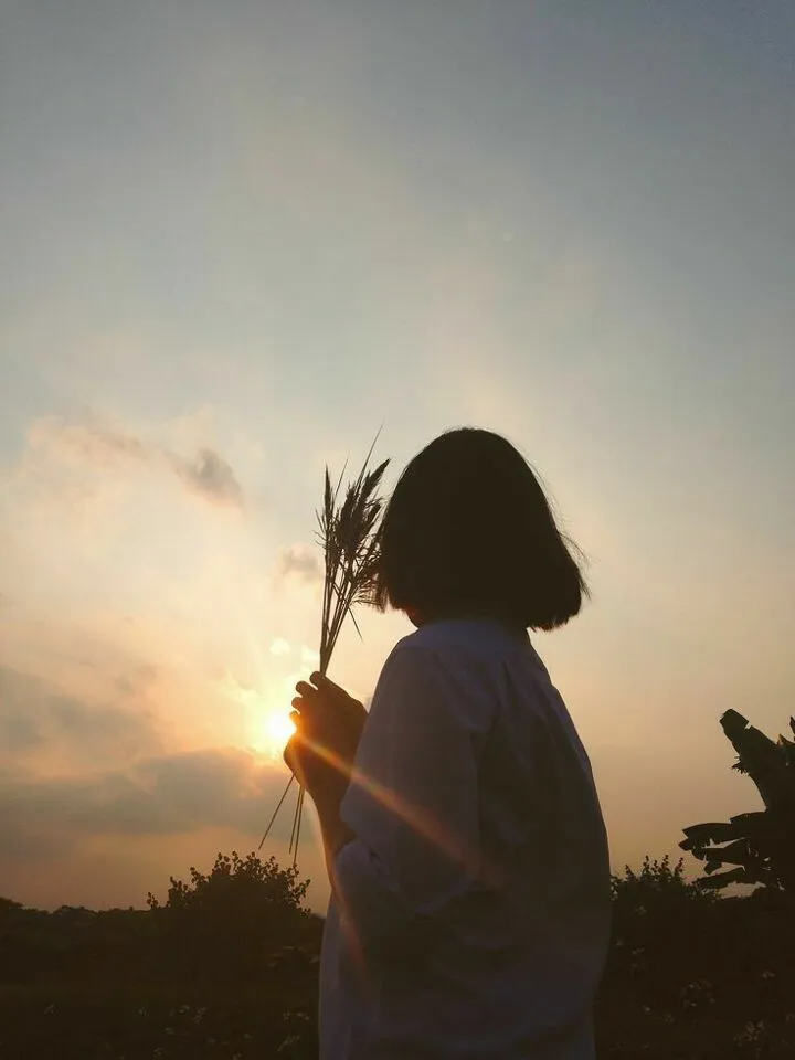 2621_1054621_1_KOR_20251014114611.jpg?AR=0&RS=720