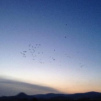 2016.8.19 까지 1738.JPG