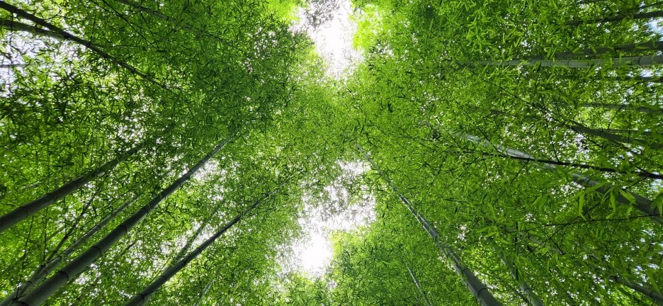 20230628_143237.jpg?type=w1