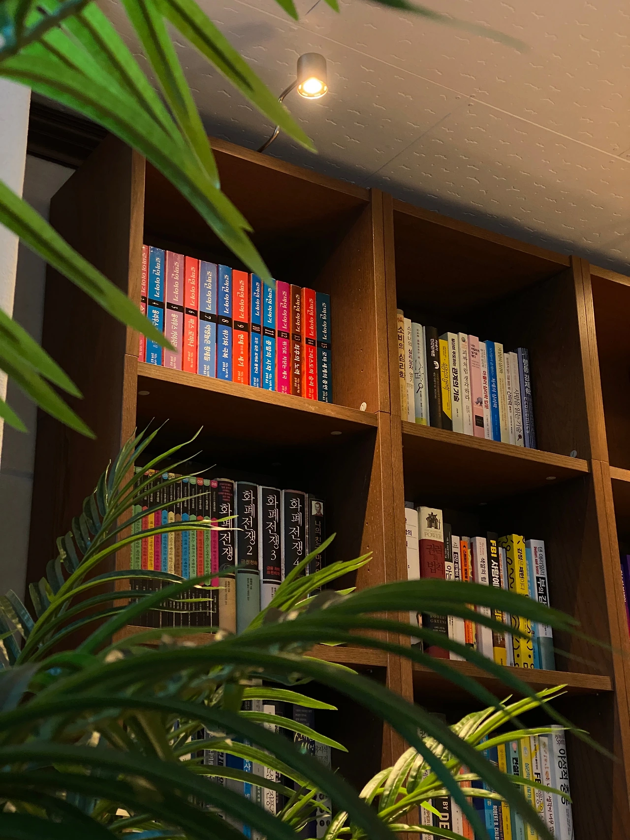 책장.jpeg