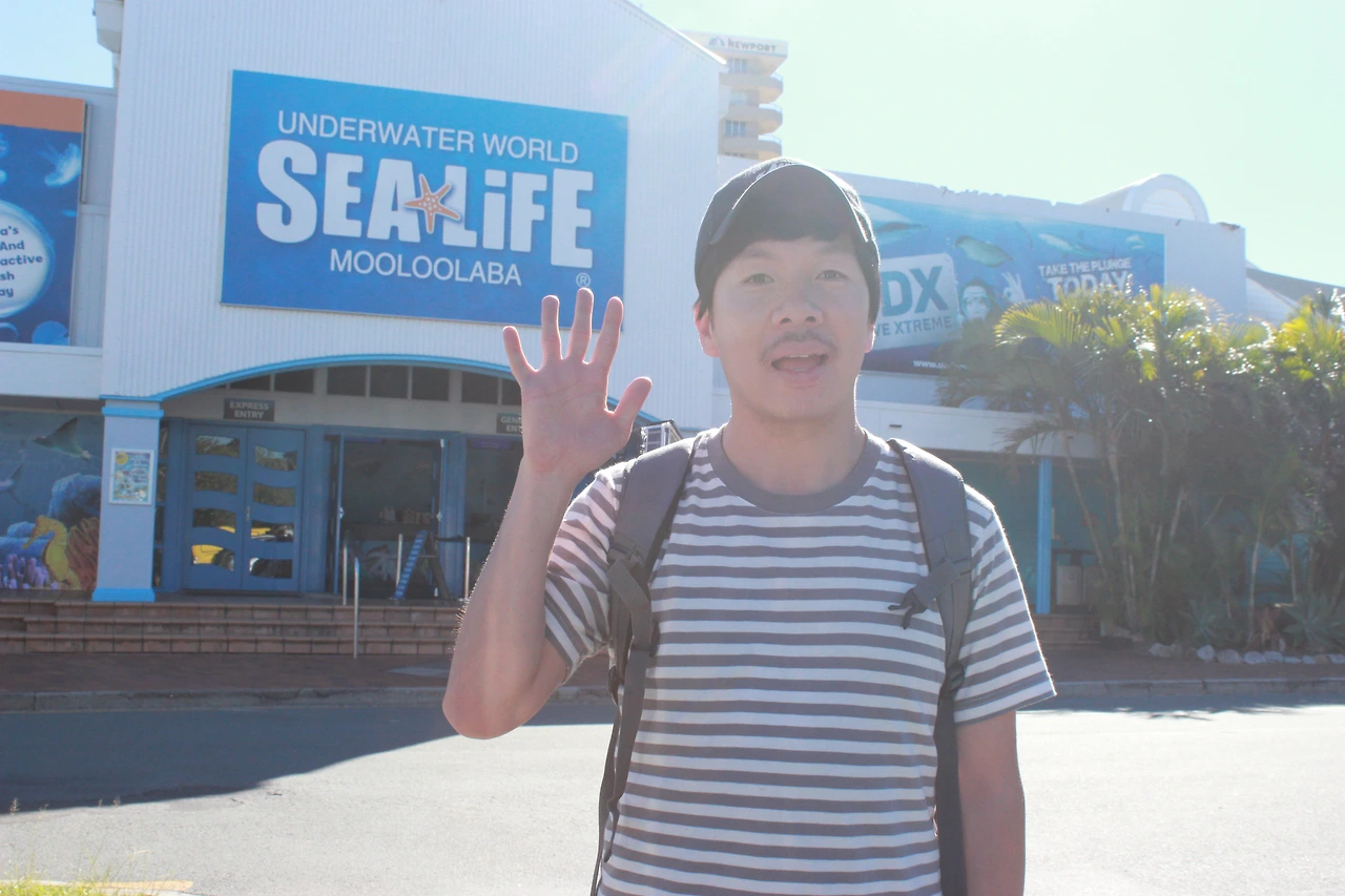 sealife 물루라바 영상 사진 (97).JPG