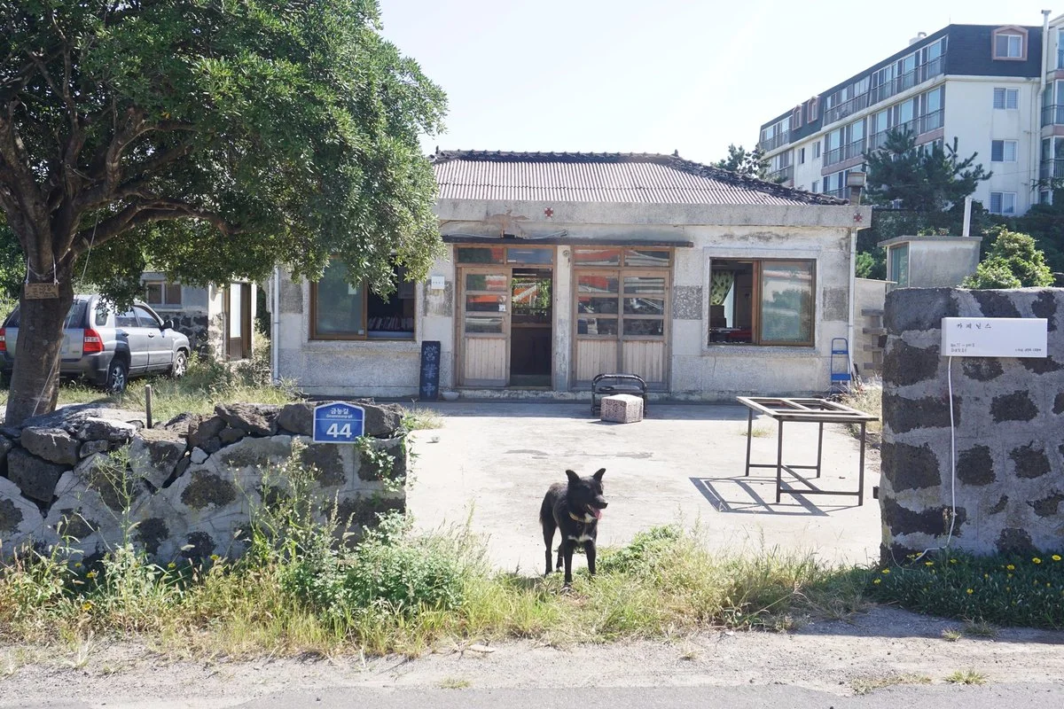 image_4606785901509535267310.jpg?type=w1200