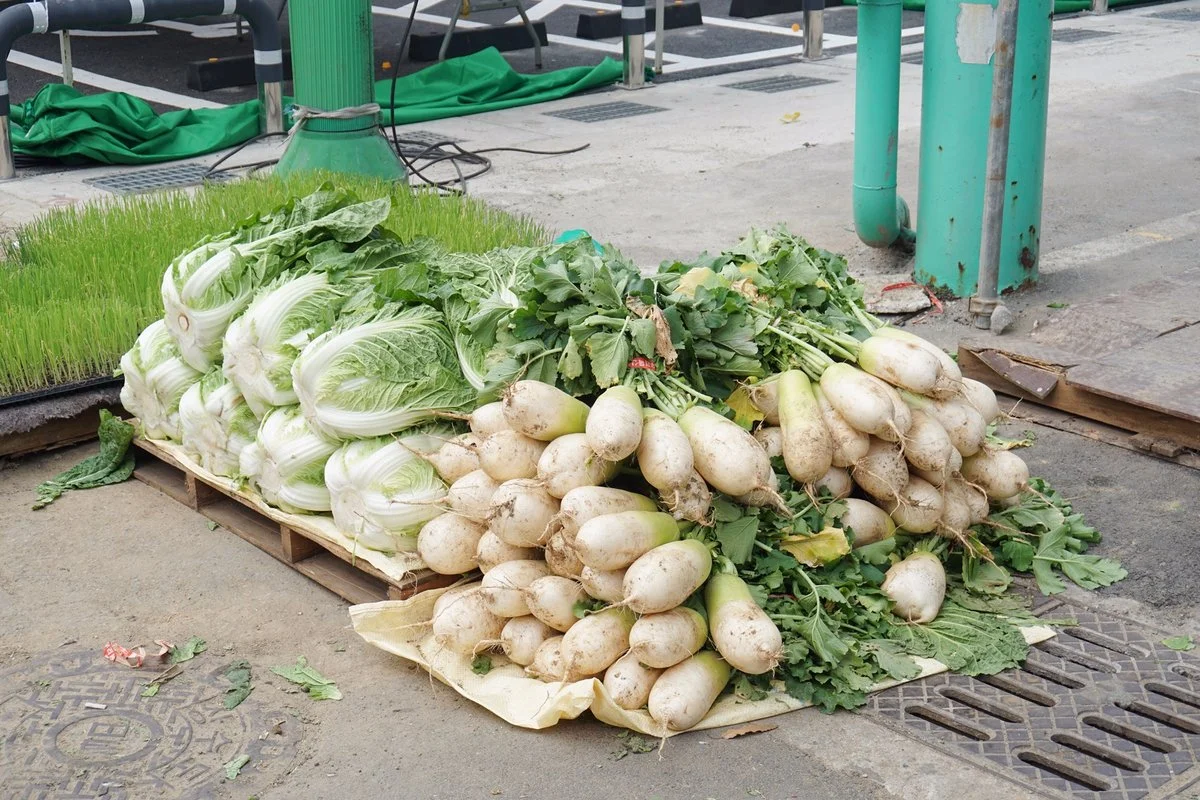 image_6831152391510136332911.jpg?type=w1200