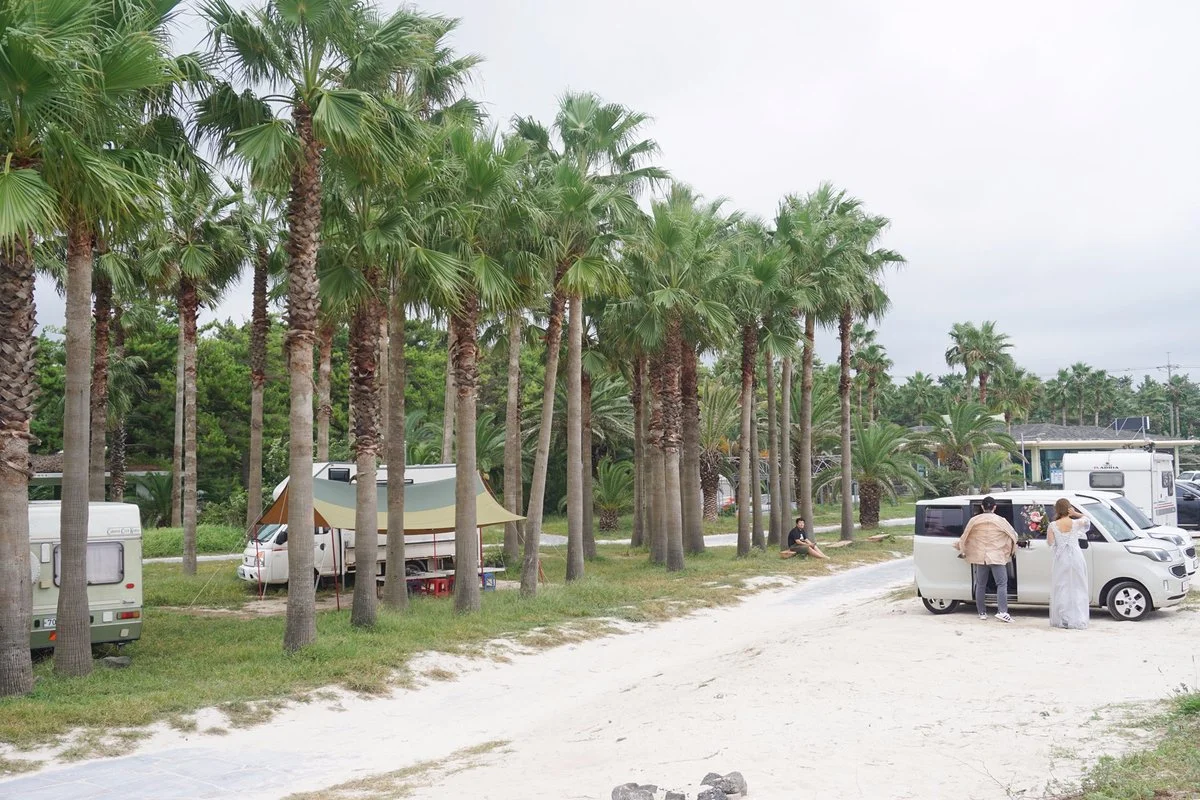 image_8906446101509533572727.jpg?type=w1200