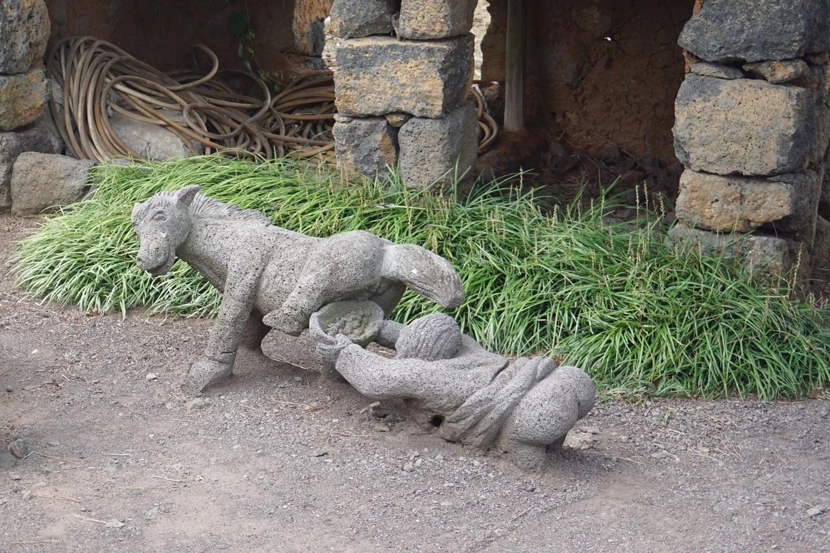 image_6916479841509529597869.jpg?type=w1200