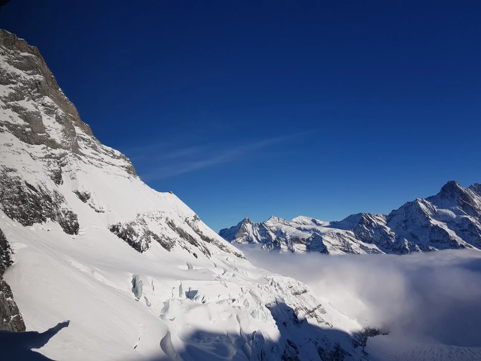 20221130_102820.jpg?type=w1