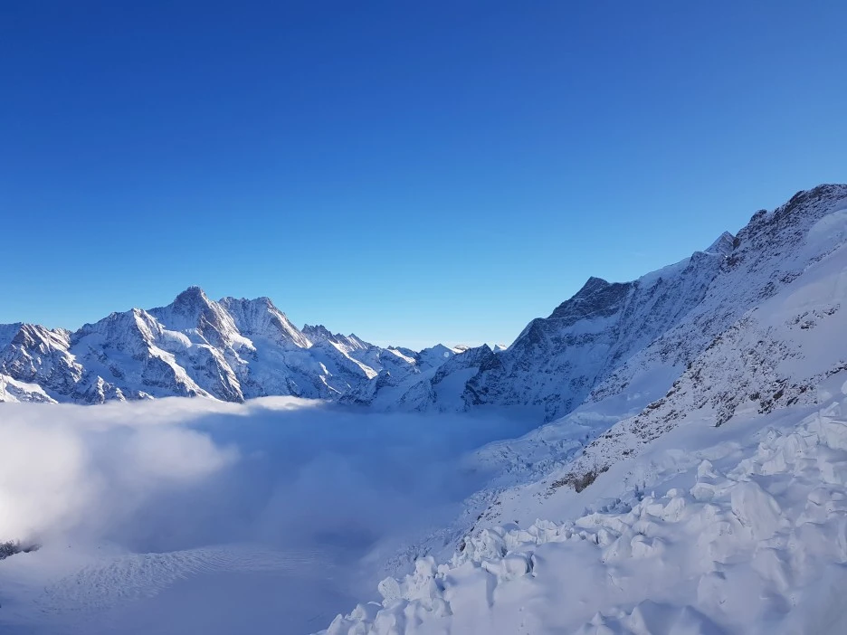 20221130_102814.jpg?type=w1