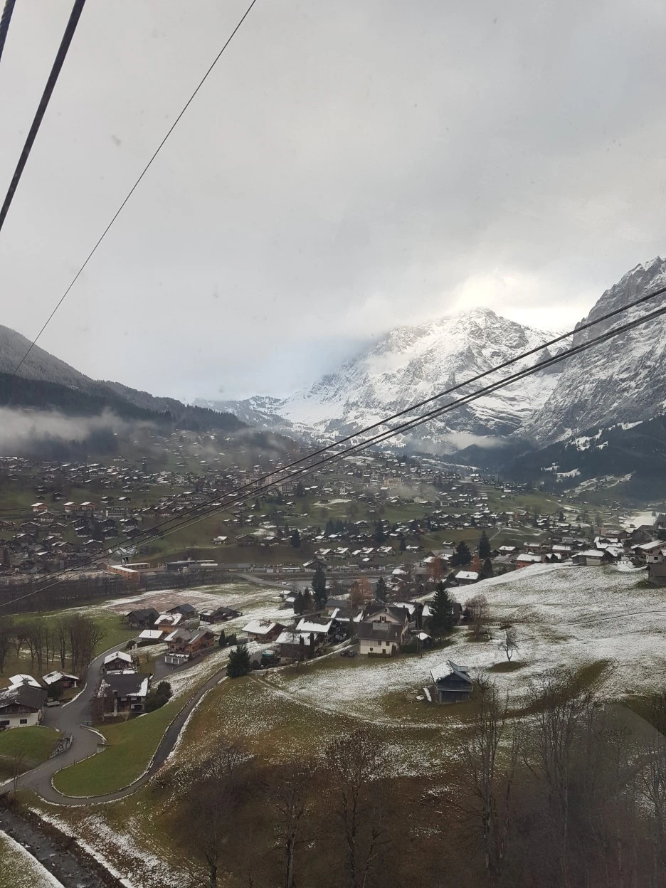 20221130_094229.jpg?type=w1