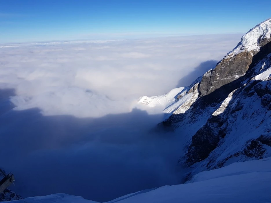 20221130_110243.jpg?type=w1