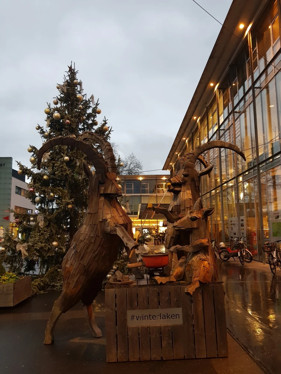 20221130_163432.jpg?type=w1