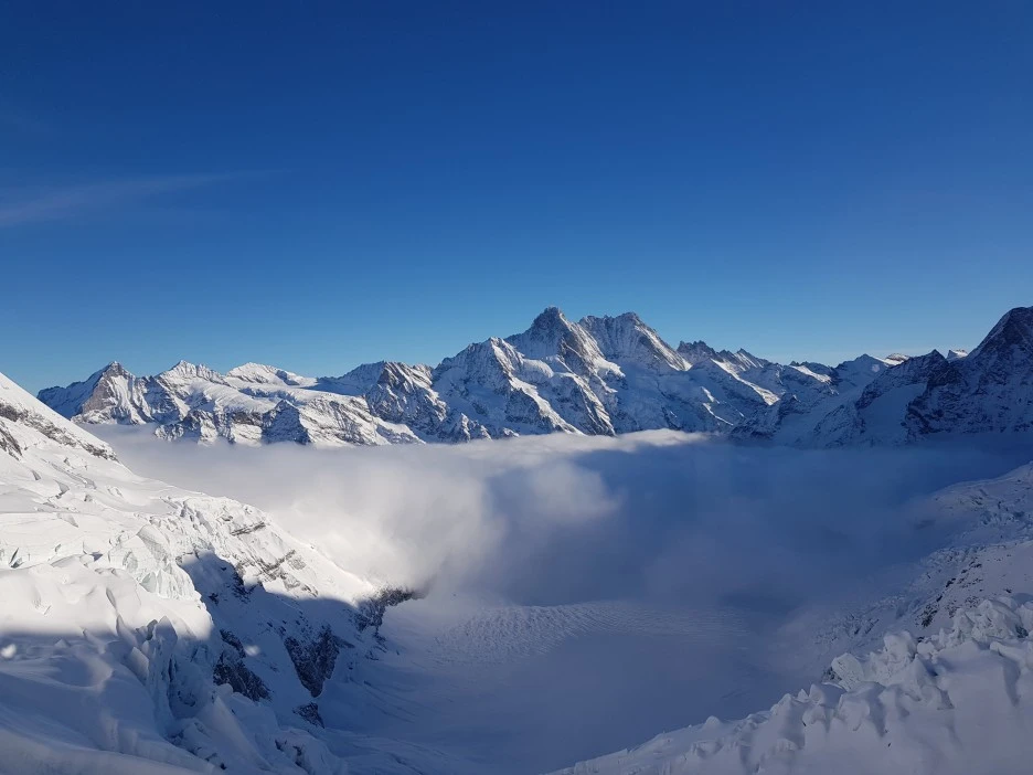 20221130_102843.jpg?type=w1