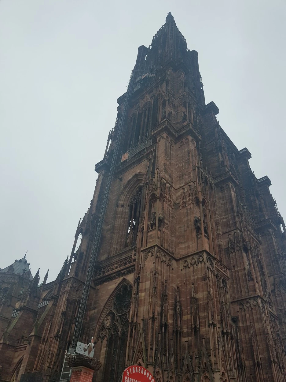 20221202_095924.jpg?type=w1