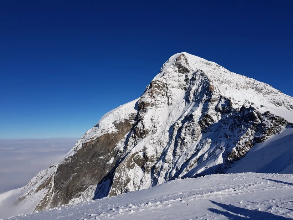 20221130_124915.jpg?type=w1