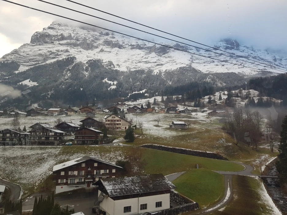 20221130_094142.jpg?type=w1