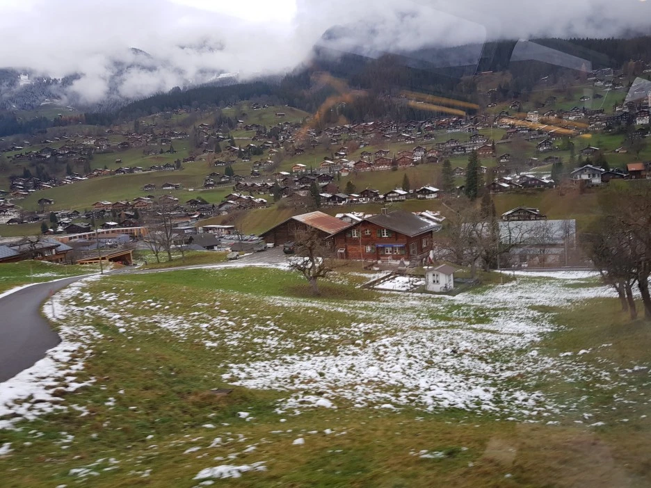 20221130_152950.jpg?type=w1