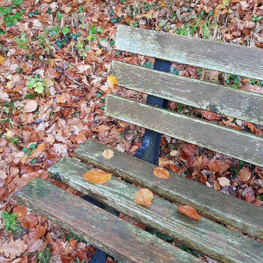 20221109%EF%BC%BF095502.jpg?type=w1