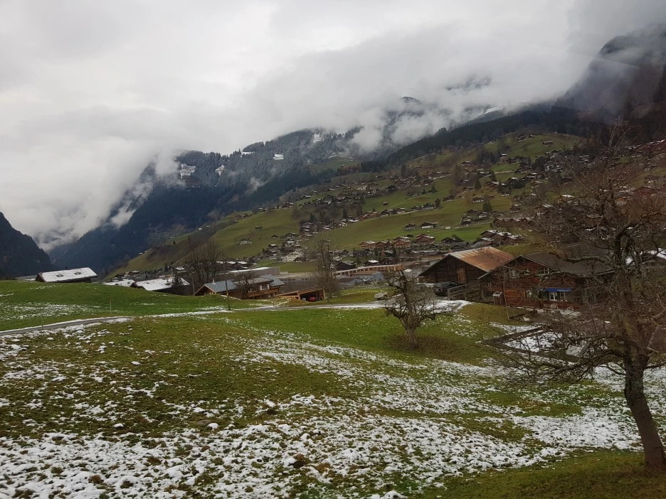 20221130_152954.jpg?type=w1