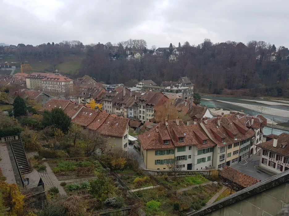 20221201_113438.jpg?type=w1